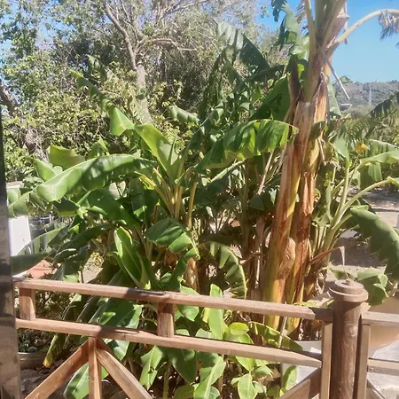 El Cubillo Country house *
